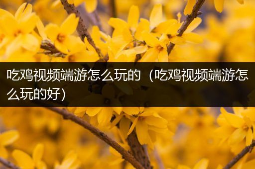 吃鸡视频端游怎么玩的（吃鸡视频端游怎么玩的好）