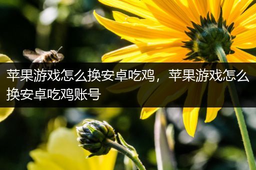 苹果游戏怎么换安卓吃鸡，苹果游戏怎么换安卓吃鸡账号