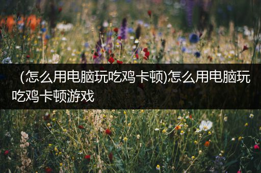 （怎么用电脑玩吃鸡卡顿)怎么用电脑玩吃鸡卡顿游戏