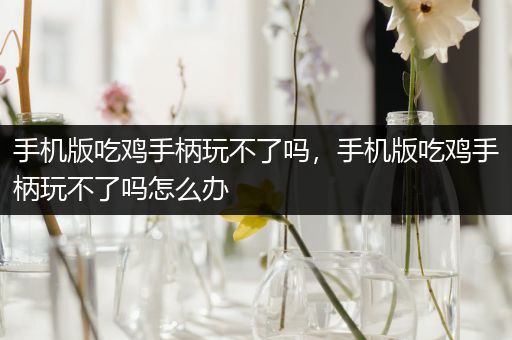 手机版吃鸡手柄玩不了吗，手机版吃鸡手柄玩不了吗怎么办