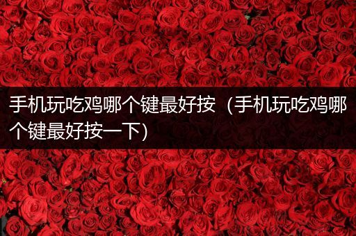 手机玩吃鸡哪个键最好按（手机玩吃鸡哪个键最好按一下）