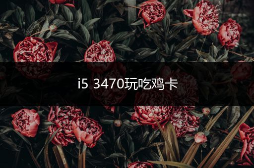i5 3470玩吃鸡卡