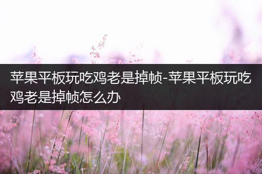 苹果平板玩吃鸡老是掉帧-苹果平板玩吃鸡老是掉帧怎么办