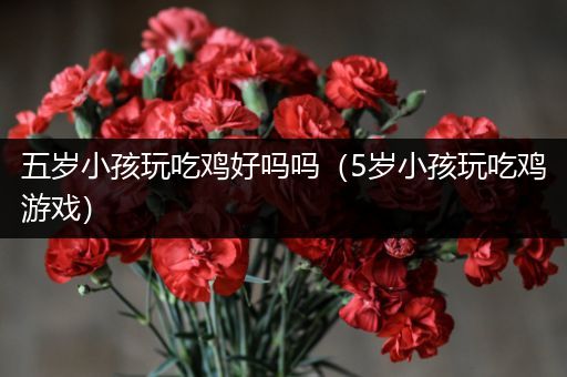 五岁小孩玩吃鸡好吗吗（5岁小孩玩吃鸡游戏）