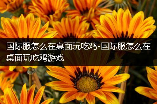国际服怎么在桌面玩吃鸡-国际服怎么在桌面玩吃鸡游戏