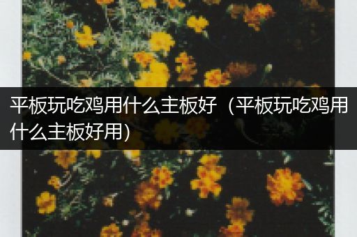 平板玩吃鸡用什么主板好（平板玩吃鸡用什么主板好用）