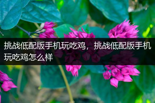 挑战低配版手机玩吃鸡，挑战低配版手机玩吃鸡怎么样