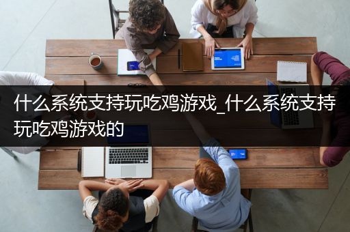 什么系统支持玩吃鸡游戏_什么系统支持玩吃鸡游戏的