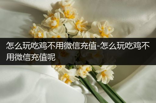 怎么玩吃鸡不用微信充值-怎么玩吃鸡不用微信充值呢