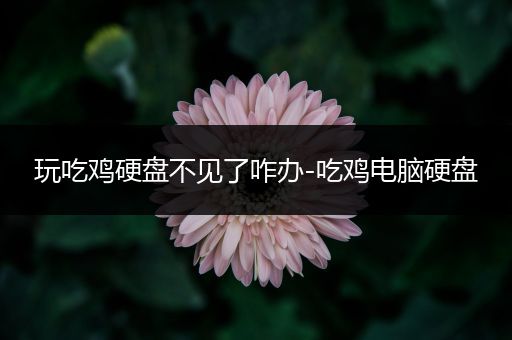 玩吃鸡硬盘不见了咋办-吃鸡电脑硬盘