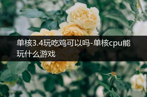单核3.4玩吃鸡可以吗-单核cpu能玩什么游戏