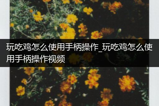 玩吃鸡怎么使用手柄操作_玩吃鸡怎么使用手柄操作视频