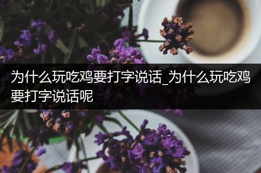 为什么玩吃鸡要打字说话_为什么玩吃鸡要打字说话呢