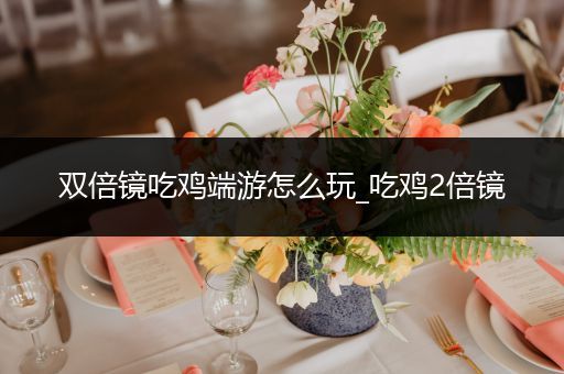 双倍镜吃鸡端游怎么玩_吃鸡2倍镜