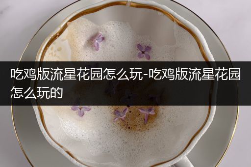 吃鸡版流星花园怎么玩-吃鸡版流星花园怎么玩的