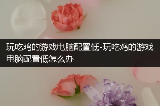 玩吃鸡的游戏电脑配置低-玩吃鸡的游戏电脑配置低怎么办