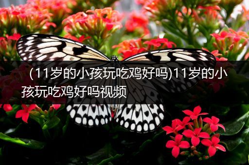 （11岁的小孩玩吃鸡好吗)11岁的小孩玩吃鸡好吗视频