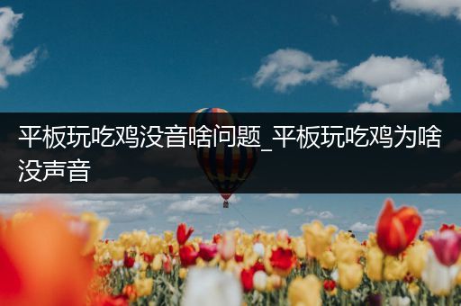 平板玩吃鸡没音啥问题_平板玩吃鸡为啥没声音