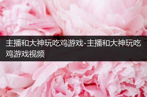 主播和大神玩吃鸡游戏-主播和大神玩吃鸡游戏视频