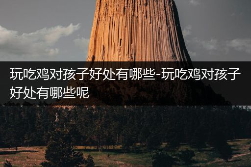 玩吃鸡对孩子好处有哪些-玩吃鸡对孩子好处有哪些呢