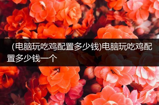 （电脑玩吃鸡配置多少钱)电脑玩吃鸡配置多少钱一个