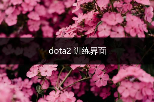 dota2 训练界面