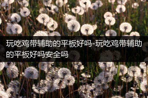 玩吃鸡带辅助的平板好吗-玩吃鸡带辅助的平板好吗安全吗
