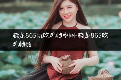 骁龙865玩吃鸡帧率图-骁龙865吃鸡帧数