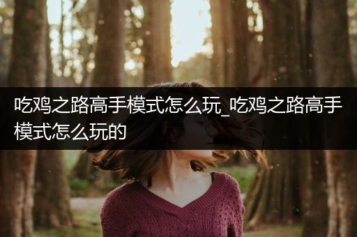 吃鸡之路高手模式怎么玩_吃鸡之路高手模式怎么玩的