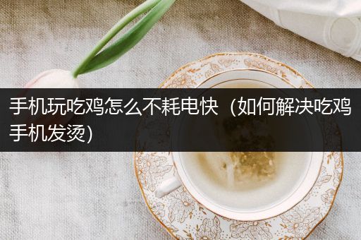 手机玩吃鸡怎么不耗电快（如何解决吃鸡手机发烫）