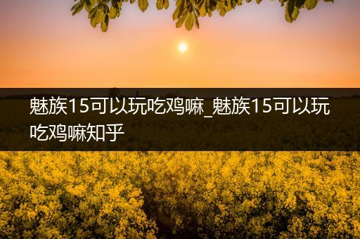 魅族15可以玩吃鸡嘛_魅族15可以玩吃鸡嘛知乎