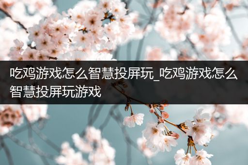 吃鸡游戏怎么智慧投屏玩_吃鸡游戏怎么智慧投屏玩游戏
