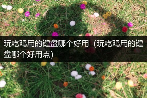 玩吃鸡用的键盘哪个好用（玩吃鸡用的键盘哪个好用点）