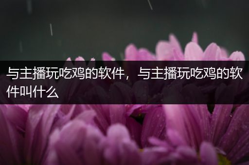 与主播玩吃鸡的软件，与主播玩吃鸡的软件叫什么