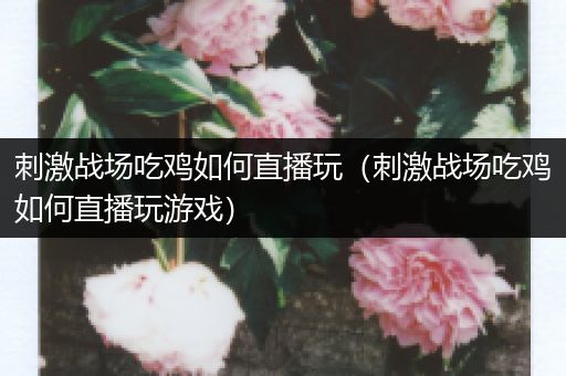 刺激战场吃鸡如何直播玩（刺激战场吃鸡如何直播玩游戏）
