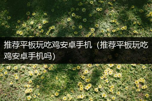 推荐平板玩吃鸡安卓手机（推荐平板玩吃鸡安卓手机吗）