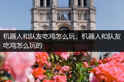 机器人和队友吃鸡怎么玩，机器人和队友吃鸡怎么玩的