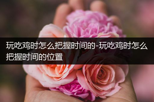 玩吃鸡时怎么把握时间的-玩吃鸡时怎么把握时间的位置