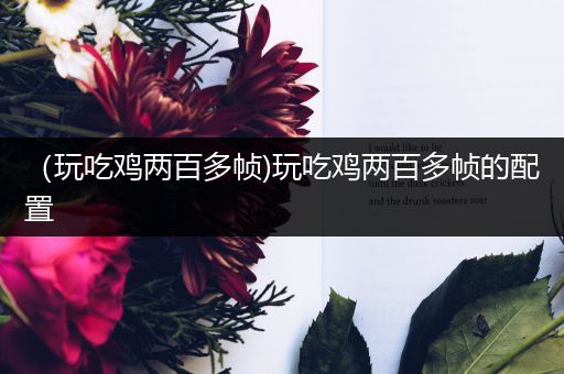 （玩吃鸡两百多帧)玩吃鸡两百多帧的配置
