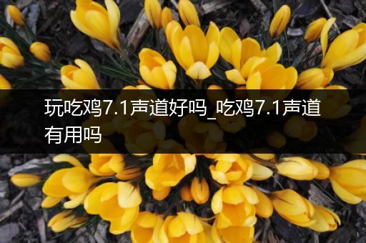 玩吃鸡7.1声道好吗_吃鸡7.1声道有用吗