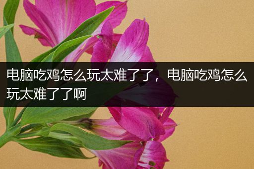 电脑吃鸡怎么玩太难了了，电脑吃鸡怎么玩太难了了啊