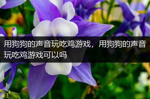 用狗狗的声音玩吃鸡游戏，用狗狗的声音玩吃鸡游戏可以吗