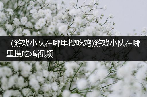 （游戏小队在哪里搜吃鸡)游戏小队在哪里搜吃鸡视频