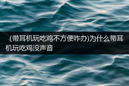 （带耳机玩吃鸡不方便咋办)为什么带耳机玩吃鸡没声音