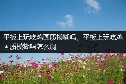 平板上玩吃鸡画质模糊吗，平板上玩吃鸡画质模糊吗怎么调