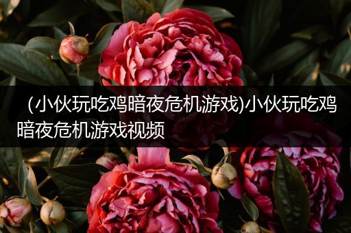 （小伙玩吃鸡暗夜危机游戏)小伙玩吃鸡暗夜危机游戏视频