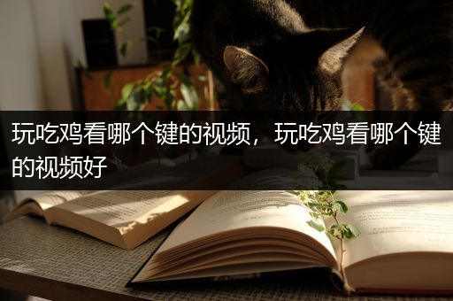 玩吃鸡看哪个键的视频，玩吃鸡看哪个键的视频好