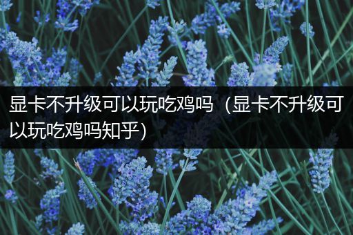 显卡不升级可以玩吃鸡吗（显卡不升级可以玩吃鸡吗知乎）