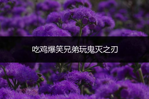 吃鸡爆笑兄弟玩鬼灭之刃