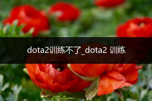 dota2训练不了_dota2 训练